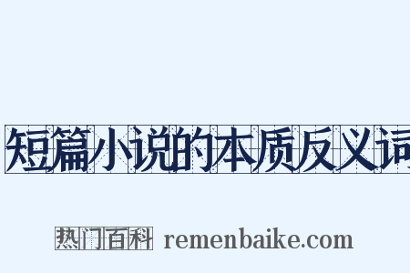 短篇小说的本质反义词是什么意思的图片